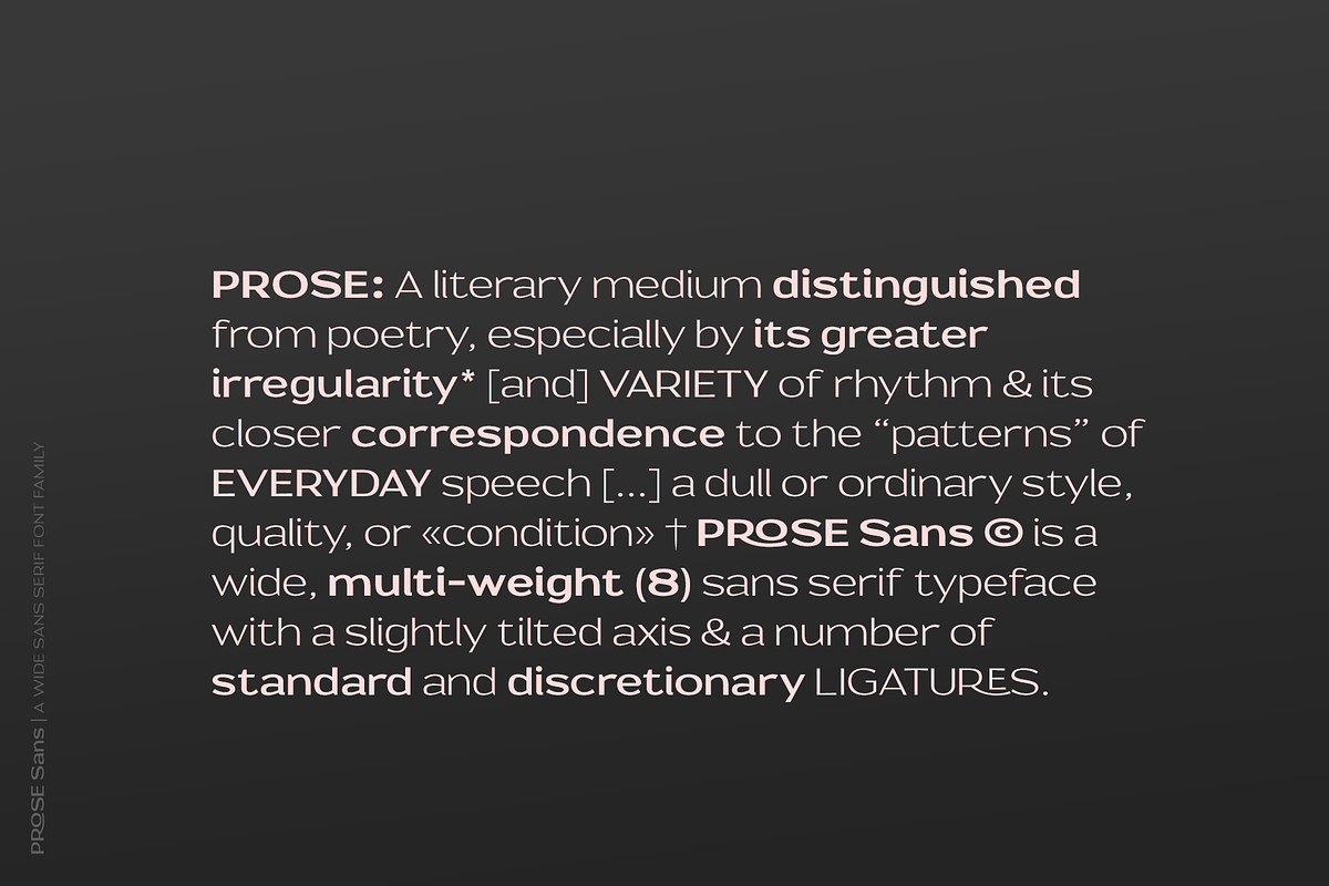 Prose Sans | Sans Serif Font Family, a Sans Serif Font by Ayca Atalay (Photo 2 of 11)