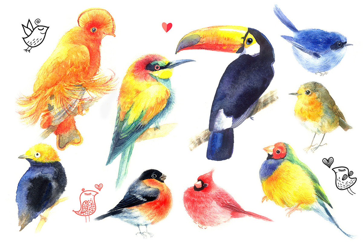 Original watercolor bird, an Animal Illustration by Tanor (Photo 2 of 3)