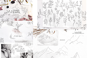 WHOLE SHOP 13969 BUNDLE, an Object Illustration by BilberryCreates (Thumbnail 17 of 70)