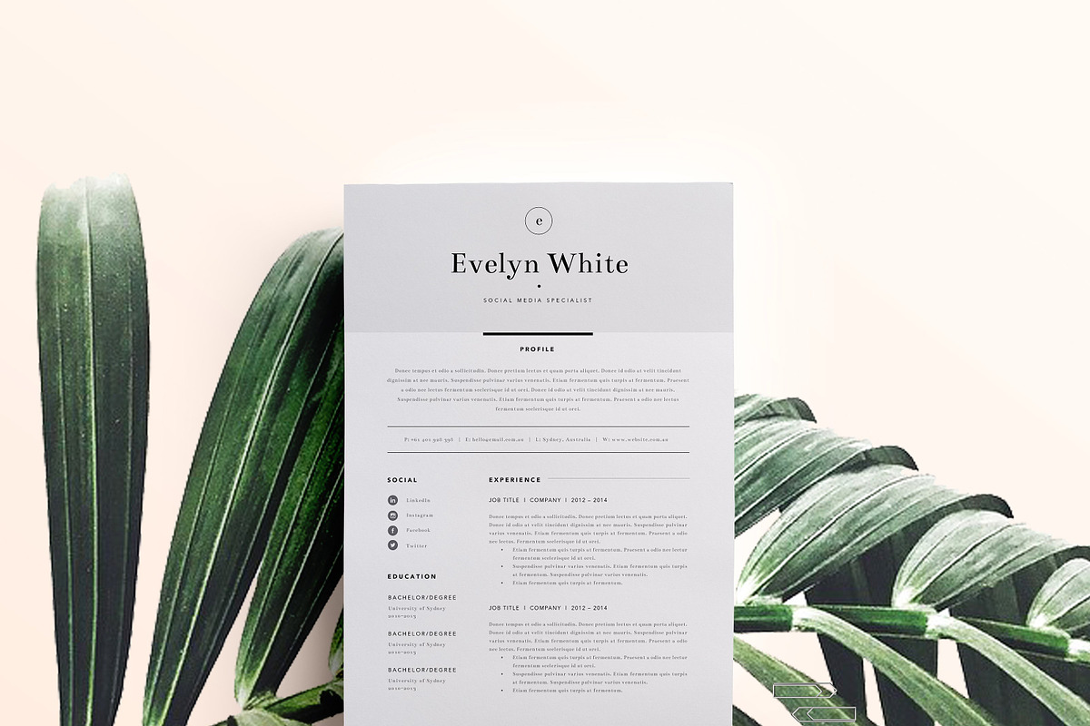 Resume Template 4 Page | CV Template, a Resume Template by The Template Depot (Photo 2 of 6)