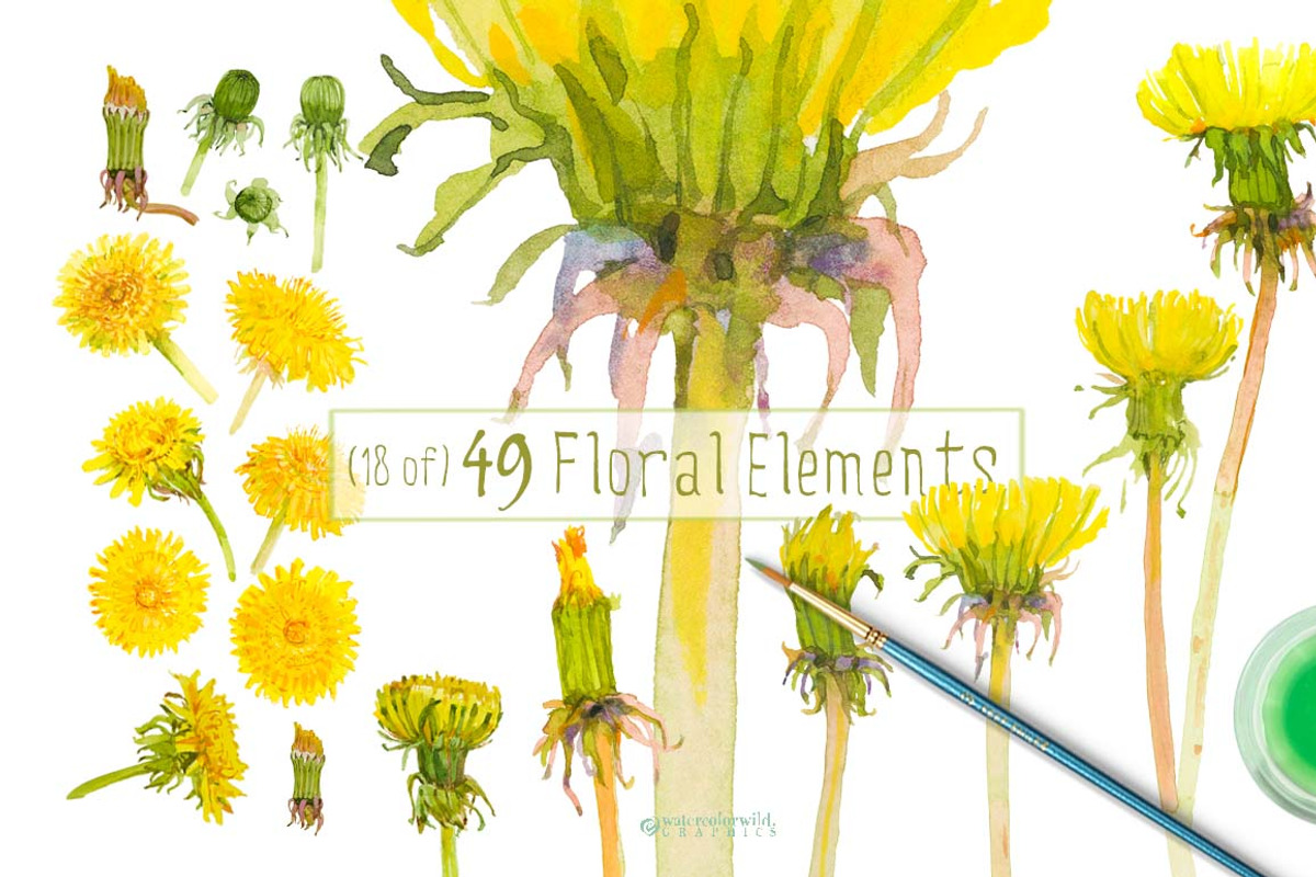 Dandelions-clipart set watercolor, an Illustration by watercolorwild.graphics (Photo 2 of 11)