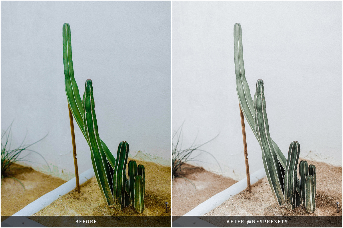 ORGANIC CERAMIC LIGHTROOM PRESETS, a Preset Add-On by Nes Design Co (Photo 5 of 10)