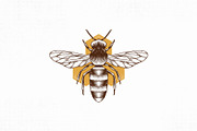 Honey Bee Vintage Vector Logo Design, a Branding & Logo Template by vectorwithin (Thumbnail 2 of 4)