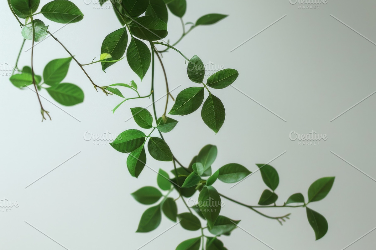 99 Frames of green leaves, a Nature Photo by Handmadefont (Photo 96 of 100)