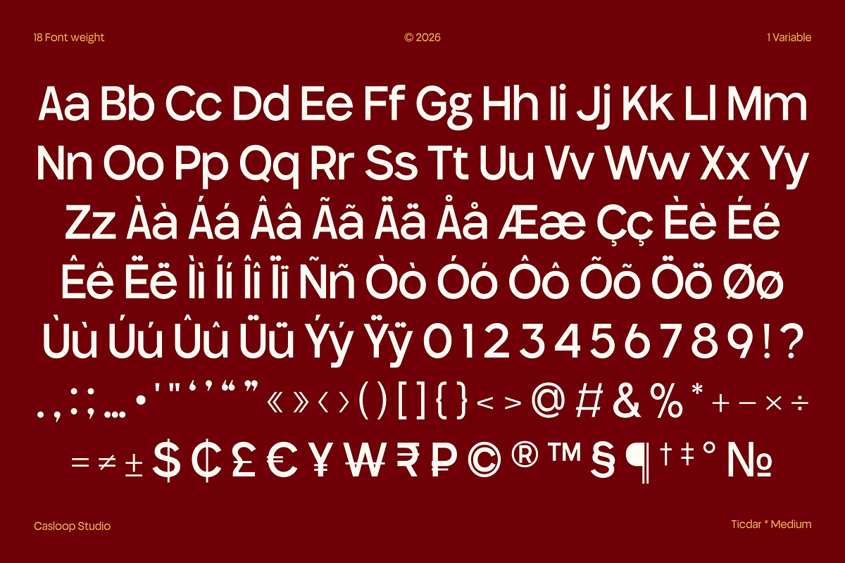 Ticdar – Editorial Typeface, a Sans Serif Font by Casloop Studio (Photo 7 of 10)