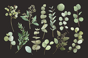 Watercolor Eucalyptus Clipart, an Object Graphic by ArtGiftsStudio (Thumbnail 5 of 6)