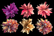 Fluid Shapes Set, an Object Graphic by Vasily Kulinich (Thumbnail 7 of 8)