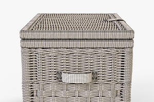 Wicker Storage Trunk 05 Toasted Oat