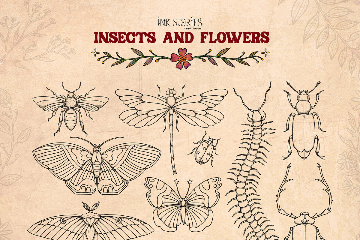Insects and Flowers, an Animal Illustration by Ink Stories (Photo 4 of 15)