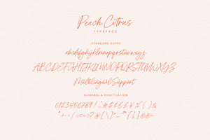 Peach Citrus Handwritten Script