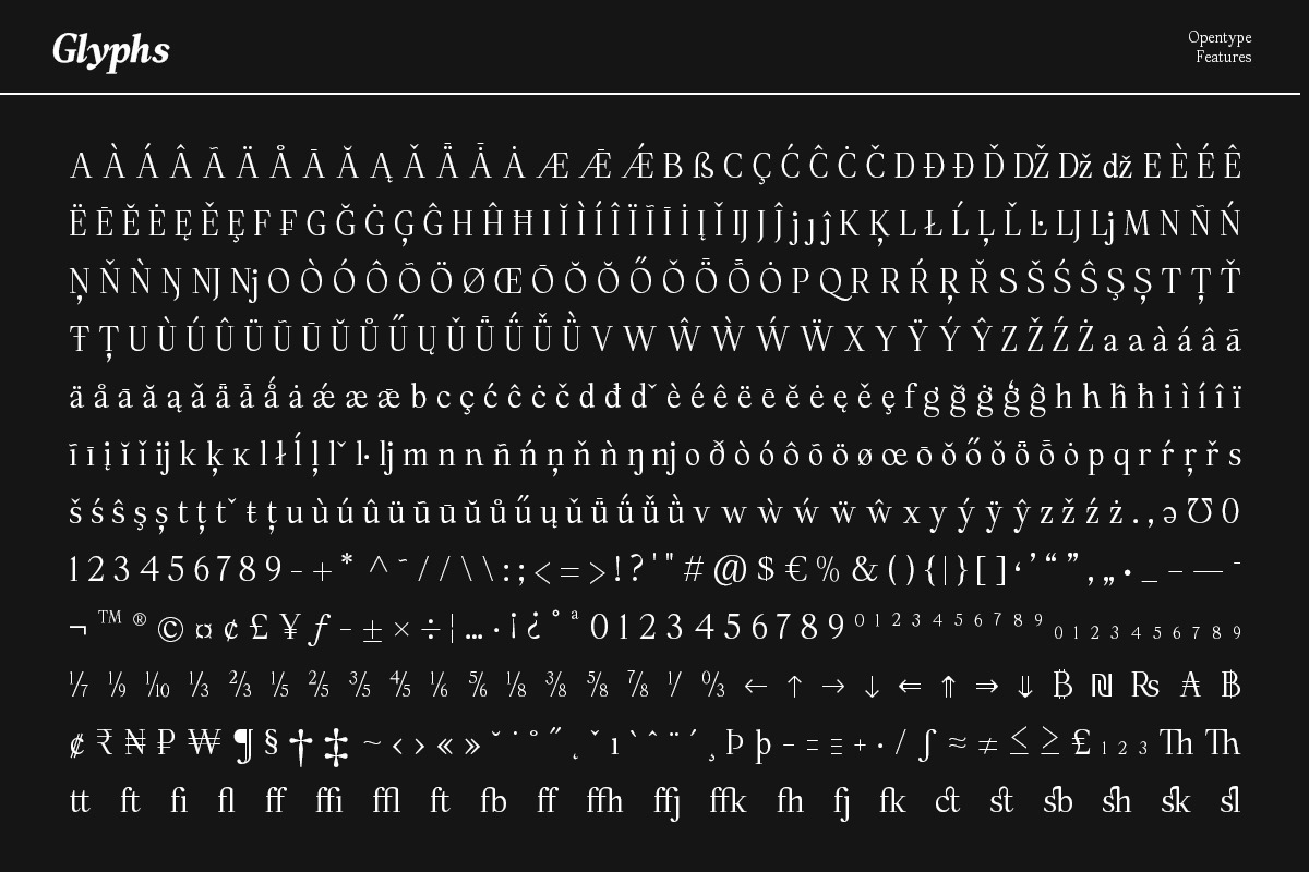 Panasea | 12 Fonts, a Serif Font by Skinny Type (Photo 15 of 15)