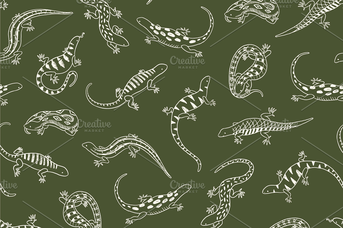 9  Lizards, an Animal Illustration by GooseFrol (Photo 5 of 6)