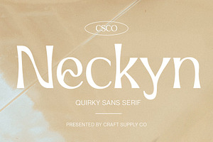 Neckyn - Quirky Sans Serif, a Serif Font by Craft Supply Co.