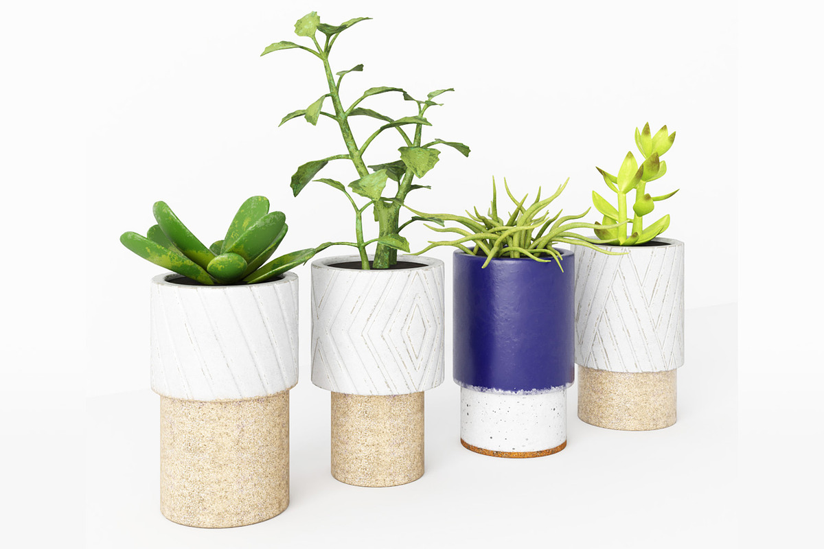 Decorative Plants, a Furniture 3D Model by 3DCargo (Photo 3 of 9)