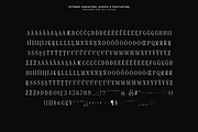 Everline - Luxury Serif Font Family, a Serif Font by VP Fonts (Thumbnail 15 of 22)