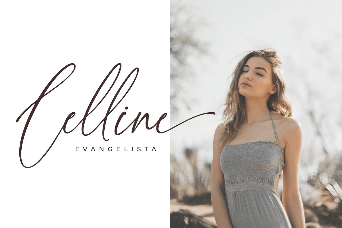 Willion Calligraphy Font preview 2