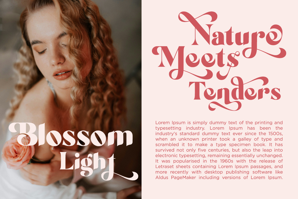 Daphiola - Modern Display Typeface, a Sans Serif Font by Font Liner (Photo 3 of 10)