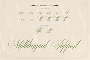 Mollani Nature Script, a Script Font by alit design (Thumbnail 17 of 20)