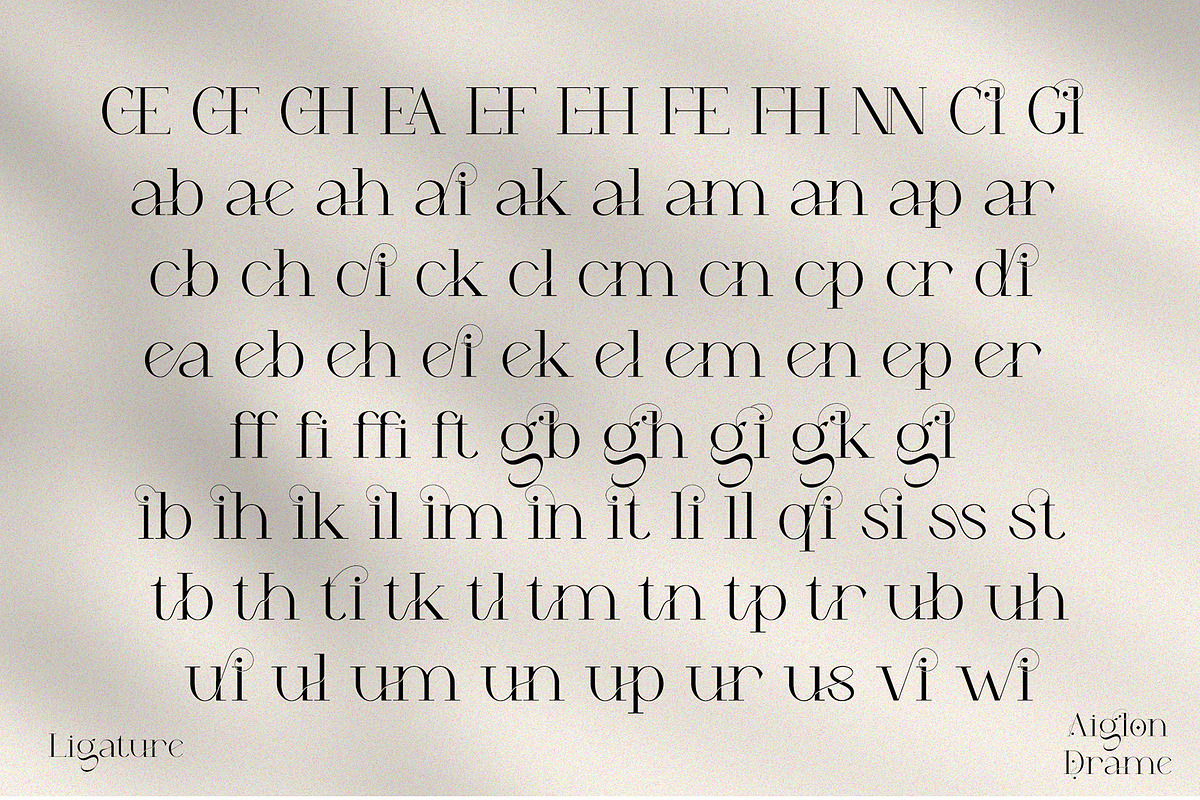 Aiglon Drame - Modern Ligature Serif, a Serif Font by erlosDESIGN (Photo 12 of 13)