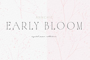 Botanical Background Collection, a Background Graphic by Anna Sokol (Thumbnail 6 of 14)