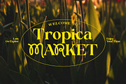 Proxina Serif Font, a Serif Font by Pista Mova (Thumbnail 6 of 10)