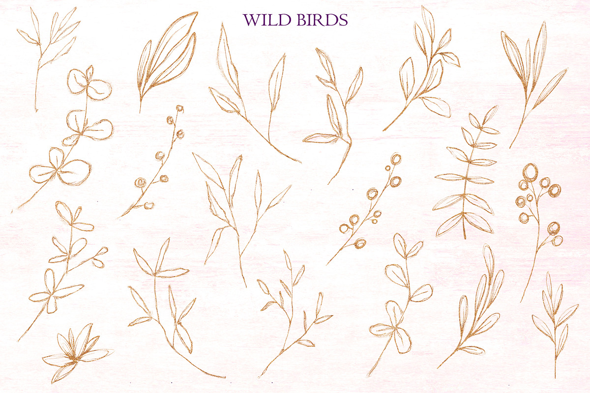 Wild Birds, an Illustration by Salted Galaxy (Photo 3 of 17)
