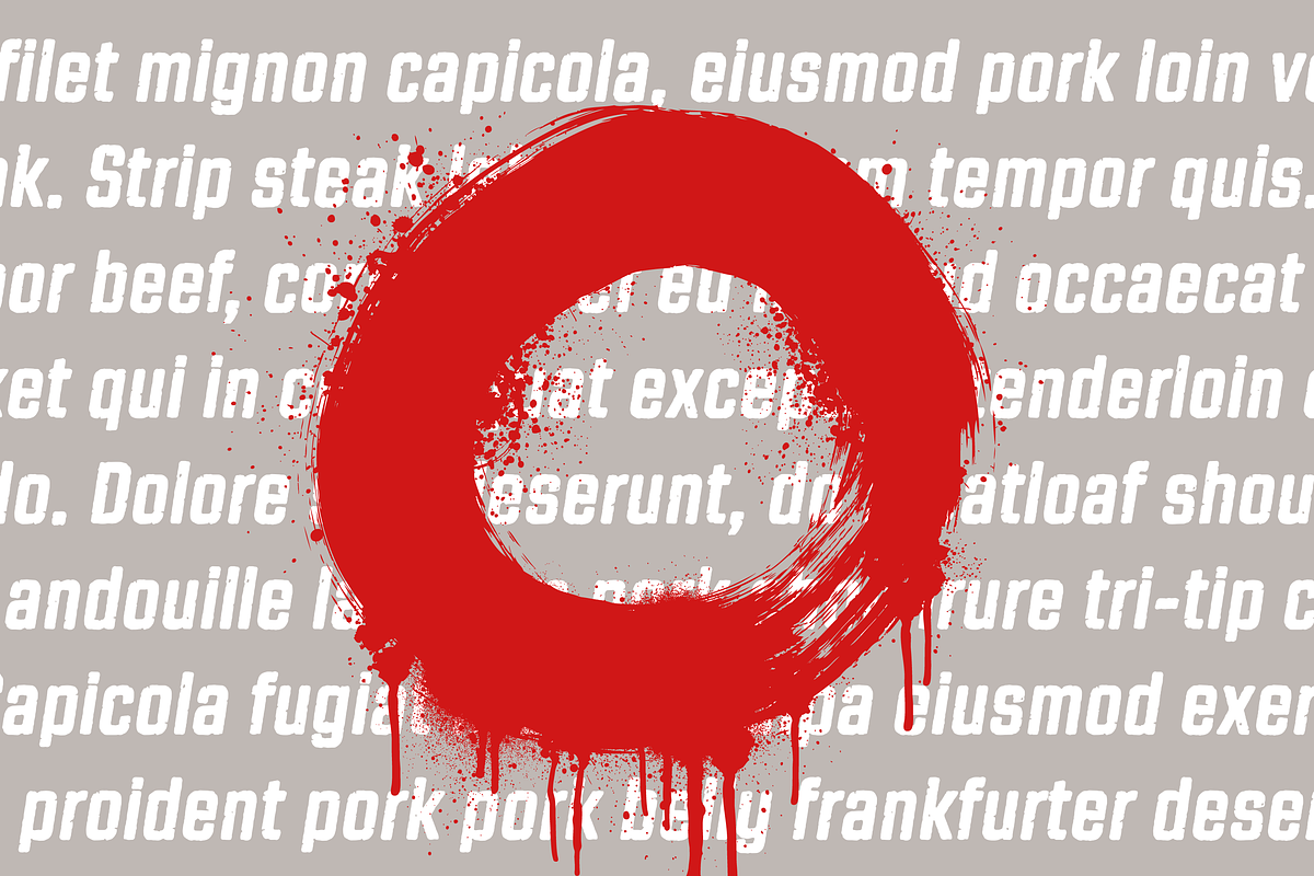 Revolution Gothic P, a Sans Serif Font by Dharma Type (Photo 9 of 11)