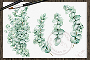 Baby Eucalyptus Illustration, a Decorative Illustration by DioFlow (Thumbnail 5 of 6)