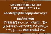 Atlantis Famingo Retro Serif Font, a Serif Font by Letterena Studios (Thumbnail 13 of 15)