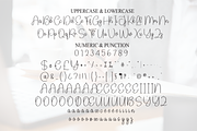 Book Signature | Script Font, a Handwritten Font by Scratchones (Thumbnail 7 of 9)