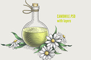 Herbs Bundle engravings, a Food Illustration by Irina Trusova (Thumbnail 2 of 9)