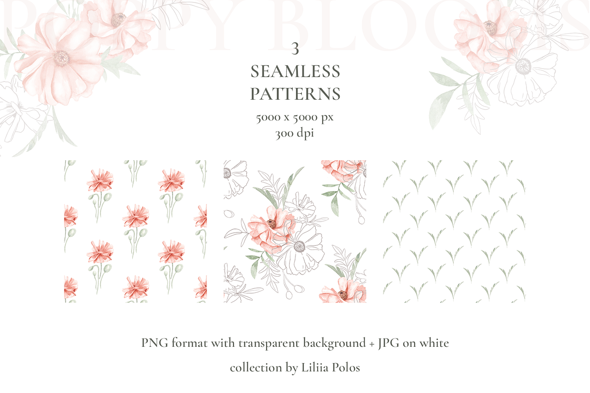 Poppy Blooms – Watercolor & Line Art, a Decorative Illustration by Liliia Polos Illustration (Photo 9 of 11)