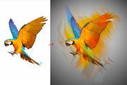Long Exposure Effect Action, an Action Add-On by MRI STUDIO (Thumbnail 14 of 15)