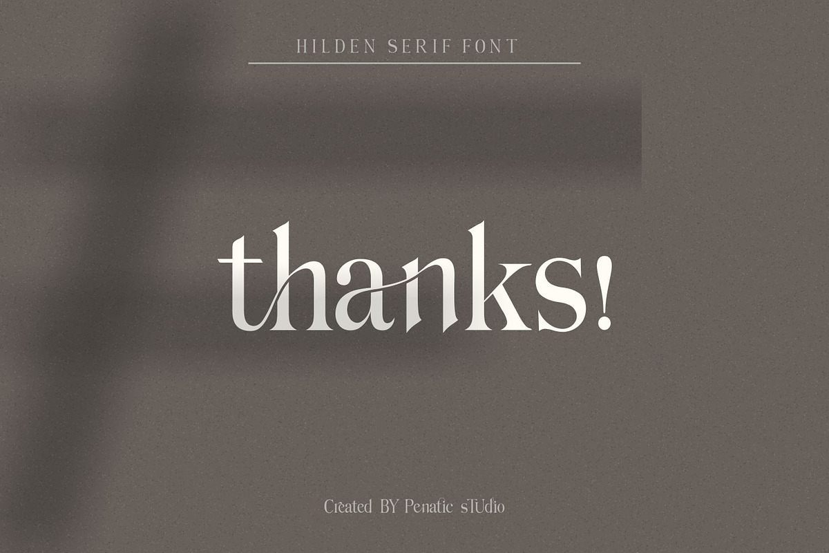 Hilden - stylish modern serif font, a Serif Font by Penatic Studio (Photo 14 of 14)