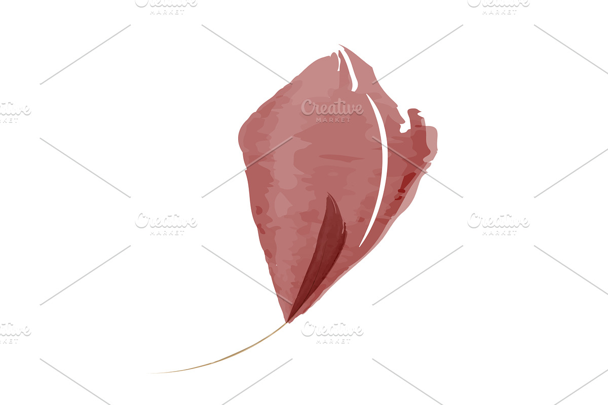 Single watercolor leaf in reddish, an Object Illustration by okskukuruza