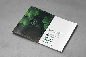 A5 Decorative Plants Brochure