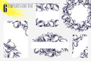 Vintage Lemon Engraving Collection, a Food Illustration by NATASHA CHU (Thumbnail 8 of 14)