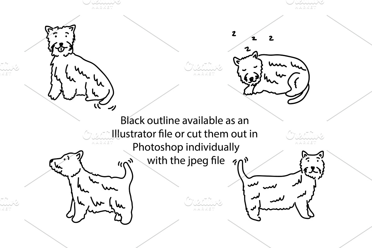 Cute doodle West Highland Terriers, an Animal Illustration by Liz Pengilley Studio (Photo 2 of 4)