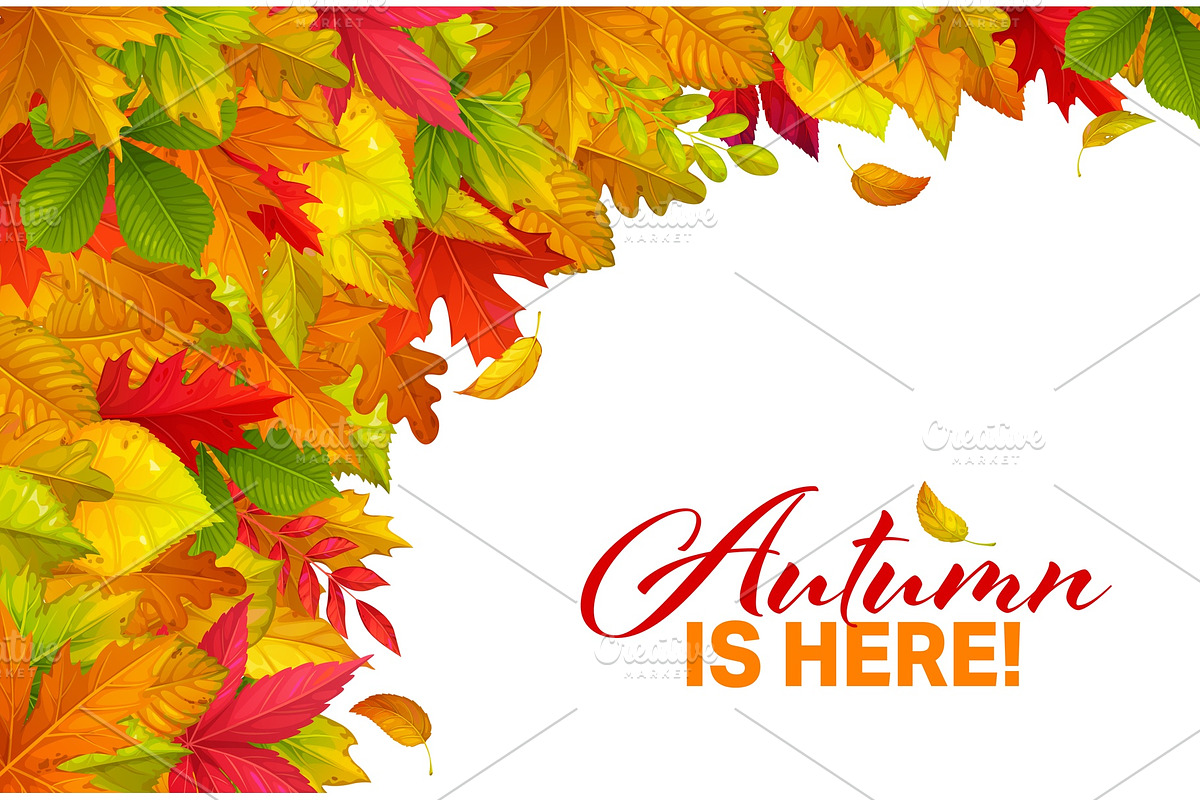 Autumn season banner, a Seasonal Illustration by Seavector Studio (Photo 2 of 3)