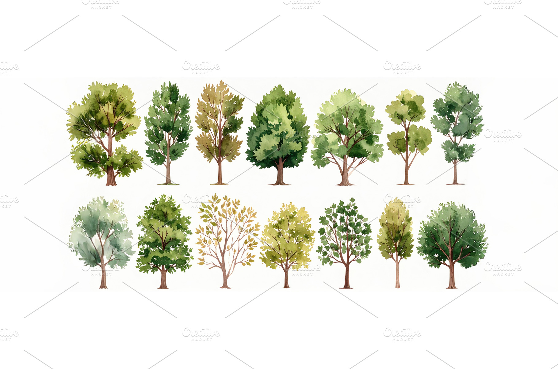 Watercolor tree illustrations, a Nature Photo by Igor Tichonow