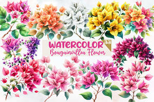 Bougainvillea Flower Clipart Bundle, an Illustration by Designworld