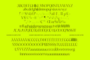 Silence Night Elegant Sans Serif, a Sans Serif Font by timelesstype.co (Thumbnail 10 of 10)