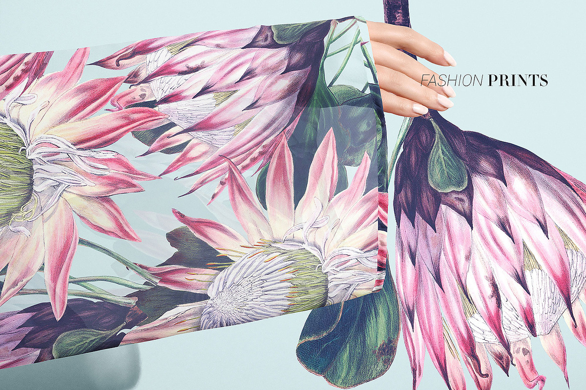 Exotic Protea Prints & Motifs, a Pattern Graphic by Pink Linen (Photo 9 of 10)