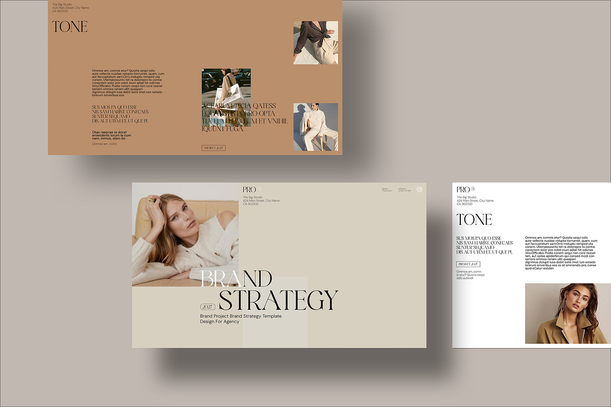 Brand Strategy | Canva, a Presentation Template by evgenystudio (Photo 3 of 8)