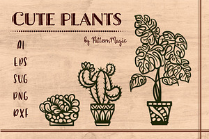 Cute Plants