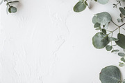 99 Frames of green leaves, a Nature Photo by Handmadefont (Thumbnail 46 of 100)