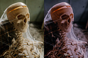 30 Nightmare Lightroom Collection, a Preset Add-On by 3Motional (Thumbnail 4 of 11)
