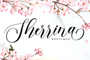 Belarisha Script, a Script Font by Bosstype Studio (Thumbnail 6 of 7)