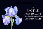 Watercolor Iris Flower Clipart Bundl, an Illustration by Libby Wishes (Thumbnail 4 of 6)