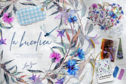 La Bucolica | Meadow Wildflowers Set, an Illustration by Inna Sinano (Thumbnail 1 of 9)